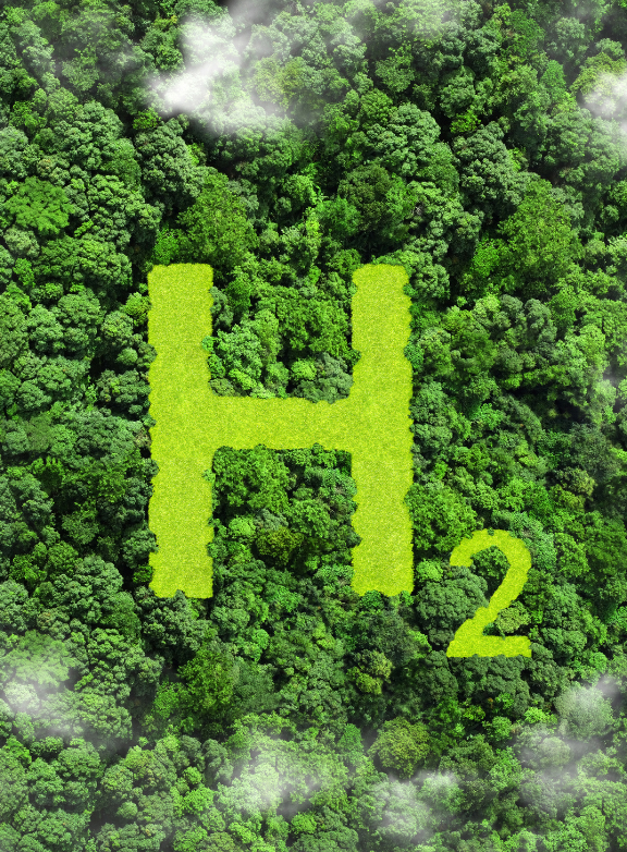 H² dans les arbres