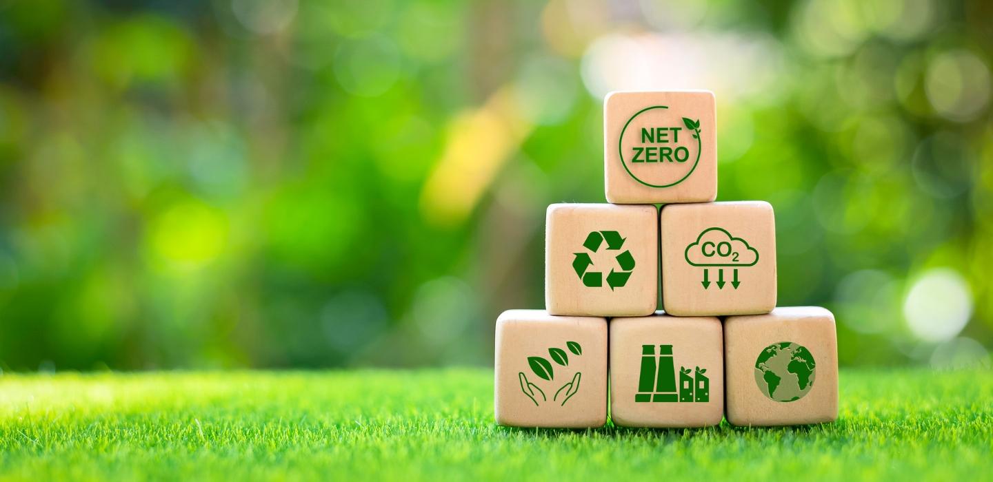 Espace vert avec des dés symbolisant les étapes de la décarbonation 